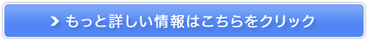 ENo.1̃veC S[hX^_[h̔TCg